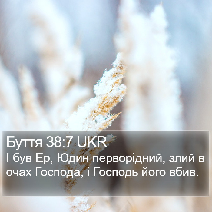 Буття 38:7 UKR Bible Study