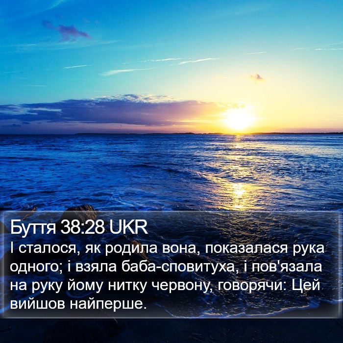 Буття 38:28 UKR Bible Study