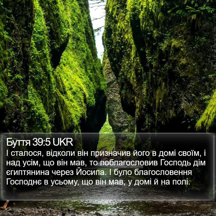 Буття 39:5 UKR Bible Study