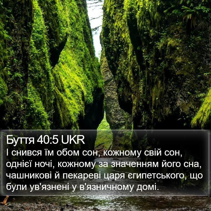 Буття 40:5 UKR Bible Study