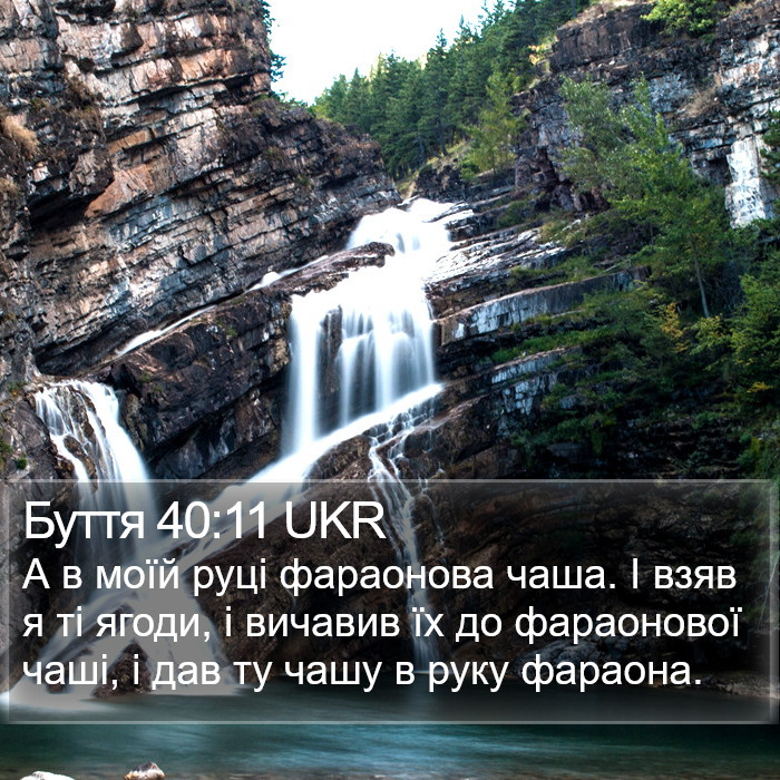 Буття 40:11 UKR Bible Study