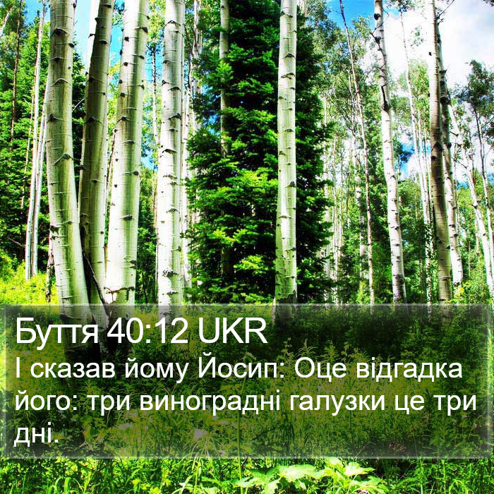 Буття 40:12 UKR Bible Study