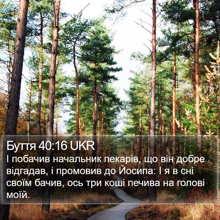 Буття 40:16 UKR Bible Study