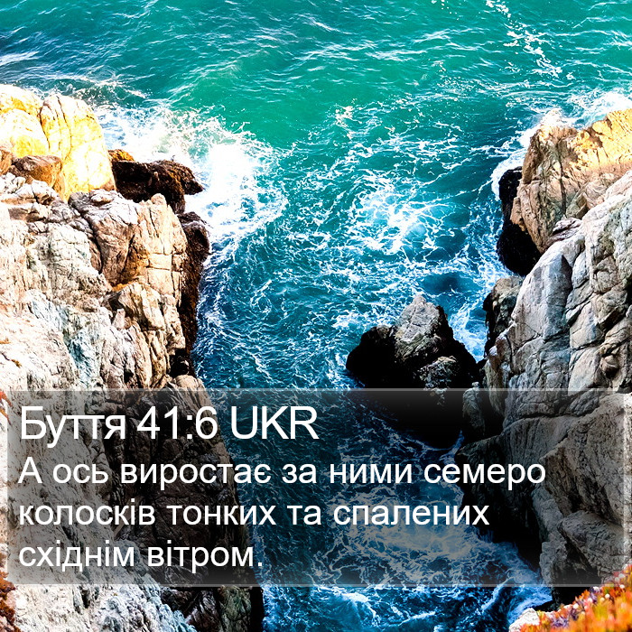 Буття 41:6 UKR Bible Study