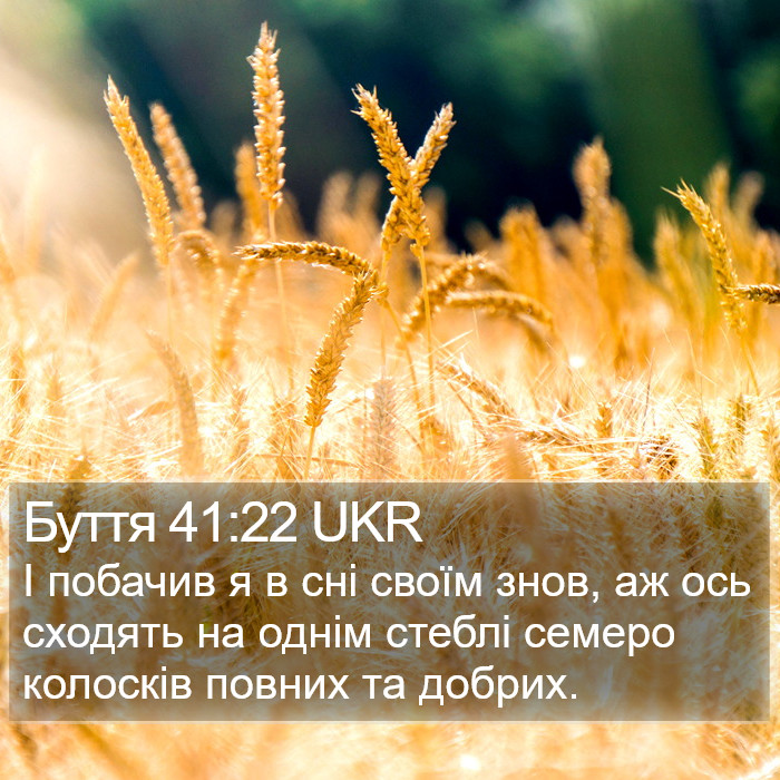 Буття 41:22 UKR Bible Study