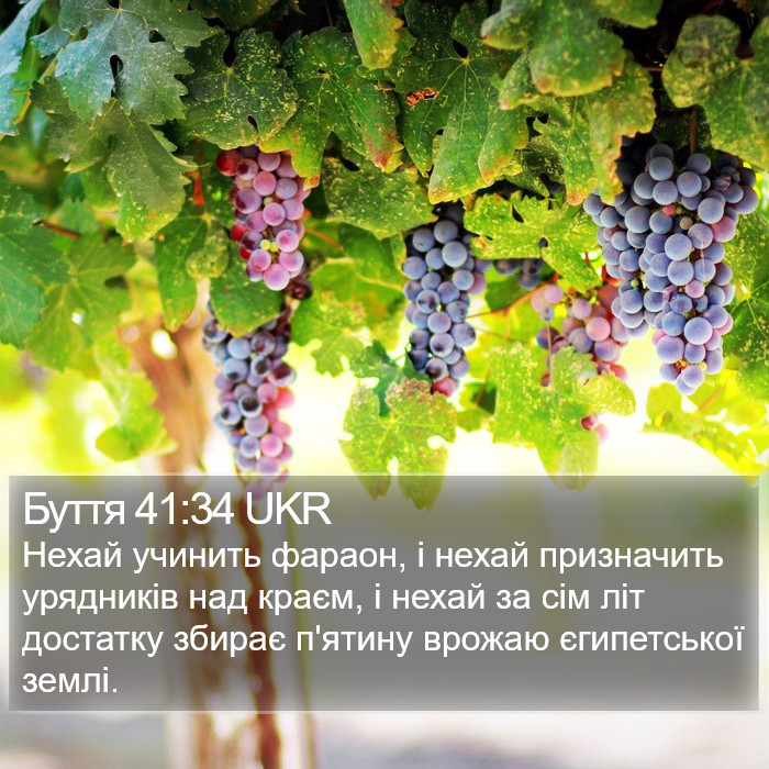 Буття 41:34 UKR Bible Study