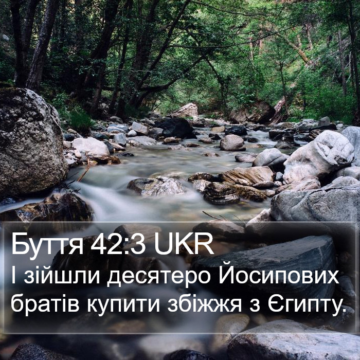 Буття 42:3 UKR Bible Study