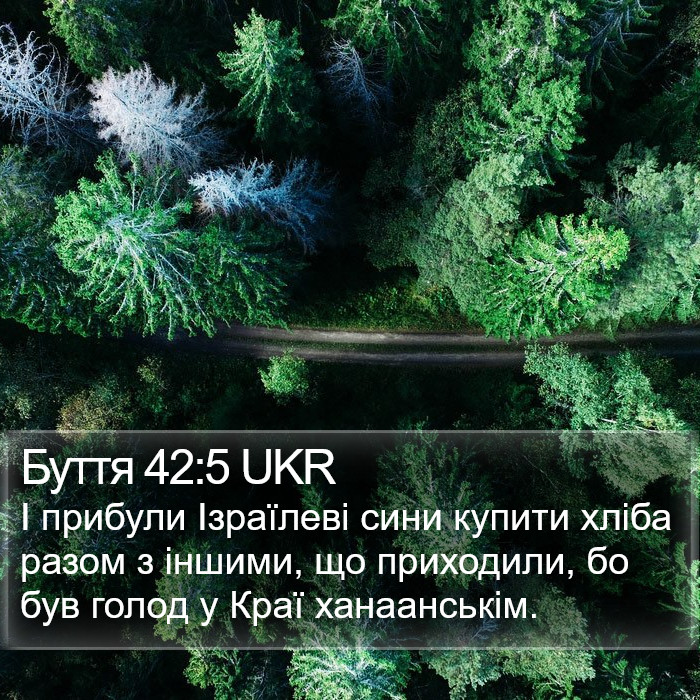 Буття 42:5 UKR Bible Study