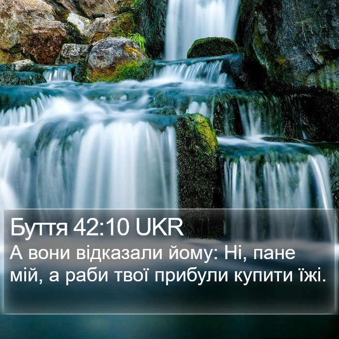 Буття 42:10 UKR Bible Study