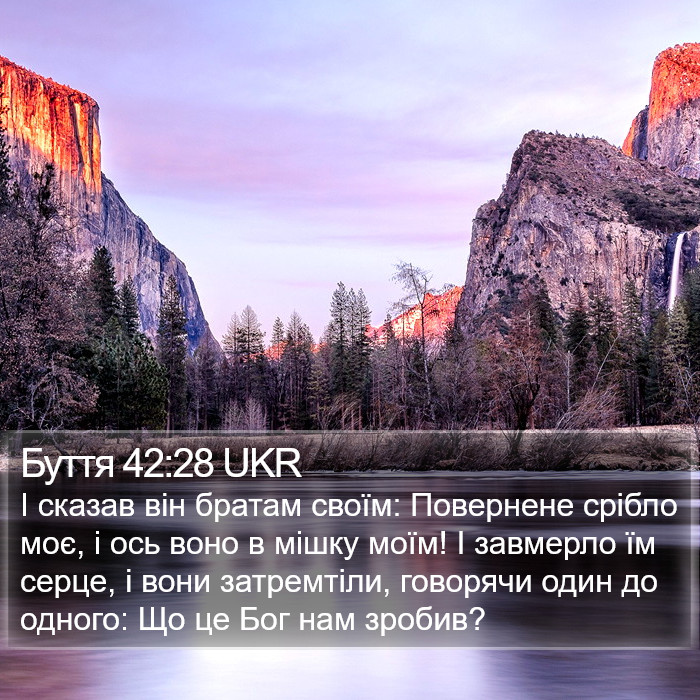 Буття 42:28 UKR Bible Study