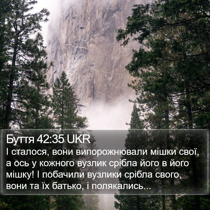 Буття 42:35 UKR Bible Study