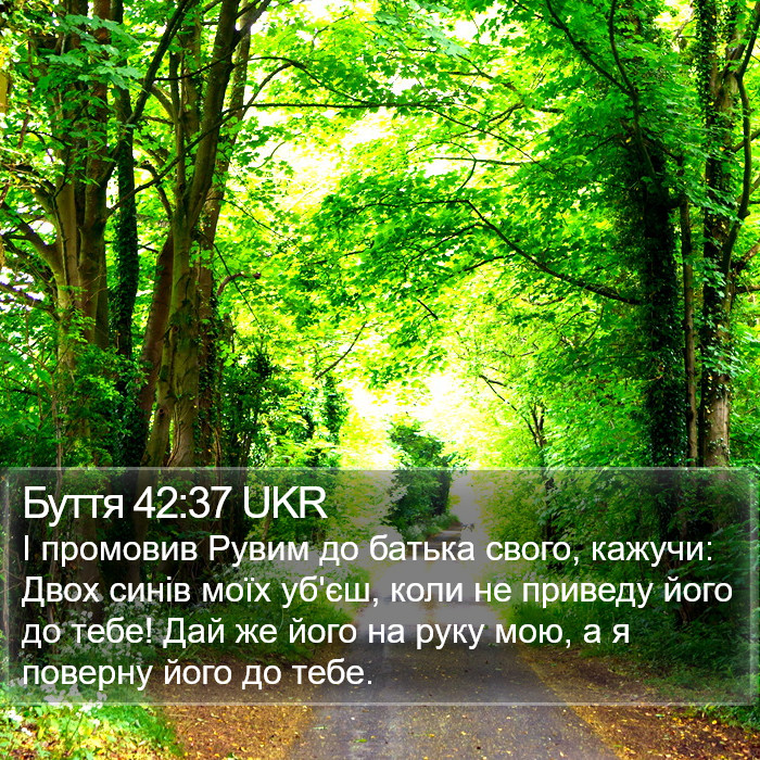 Буття 42:37 UKR Bible Study