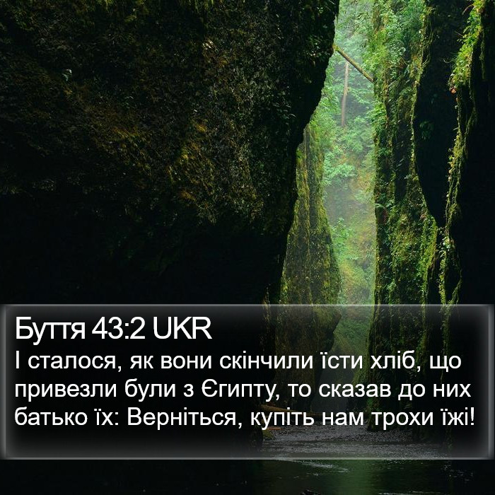 Буття 43:2 UKR Bible Study