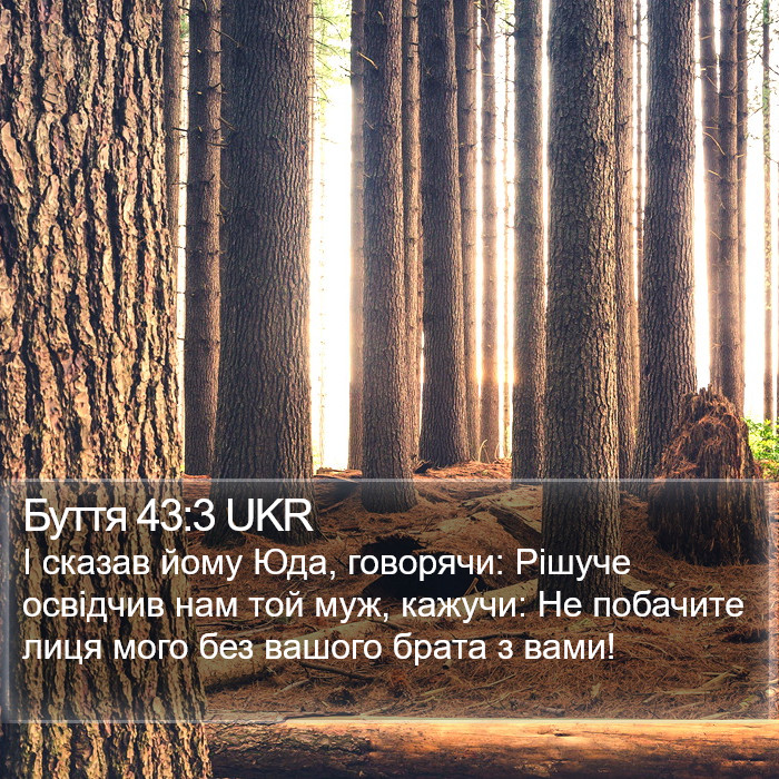 Буття 43:3 UKR Bible Study