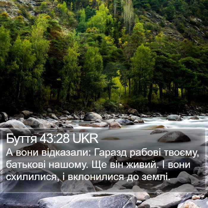 Буття 43:28 UKR Bible Study