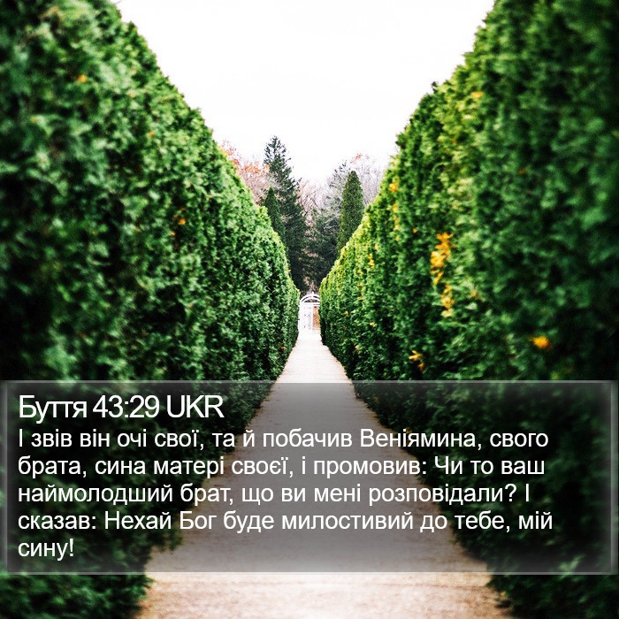 Буття 43:29 UKR Bible Study