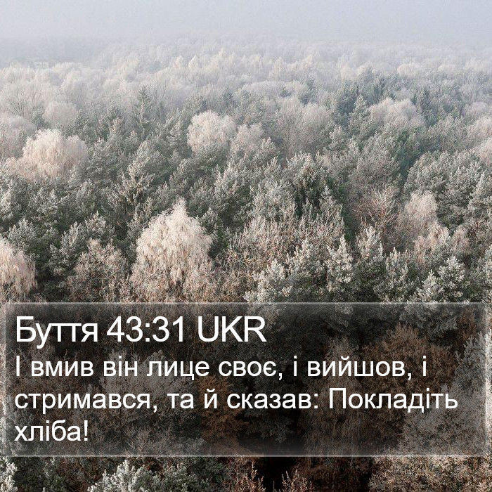 Буття 43:31 UKR Bible Study