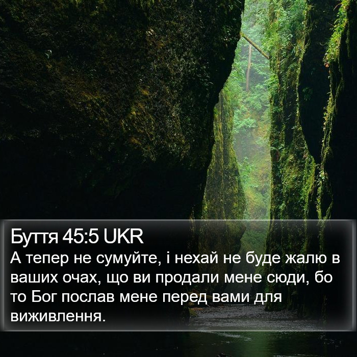 Буття 45:5 UKR Bible Study