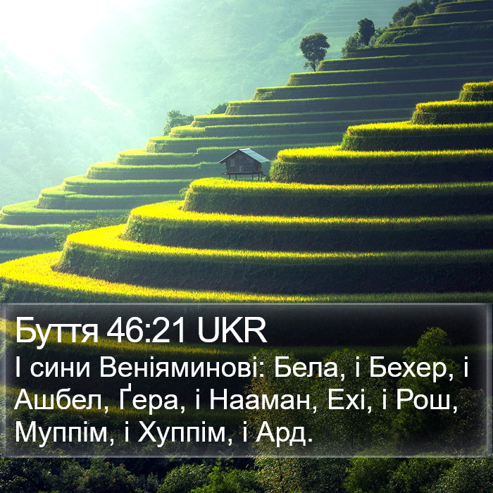Буття 46:21 UKR Bible Study