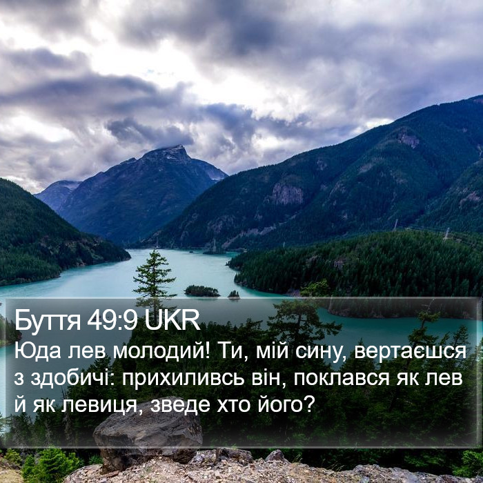 Буття 49:9 UKR Bible Study