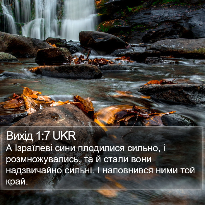 Вихід 1:7 UKR Bible Study