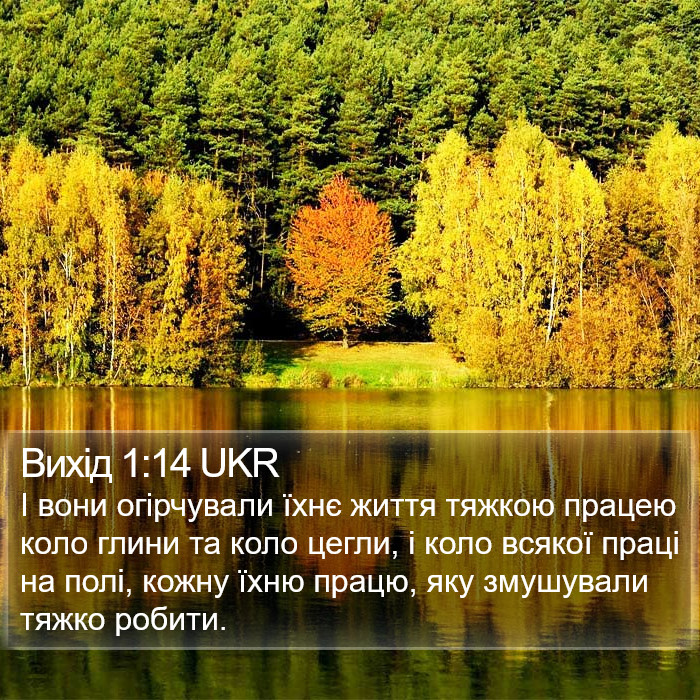 Вихід 1:14 UKR Bible Study