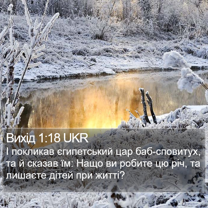 Вихід 1:18 UKR Bible Study