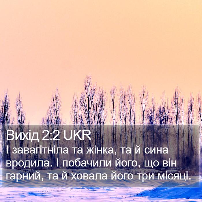 Вихід 2:2 UKR Bible Study