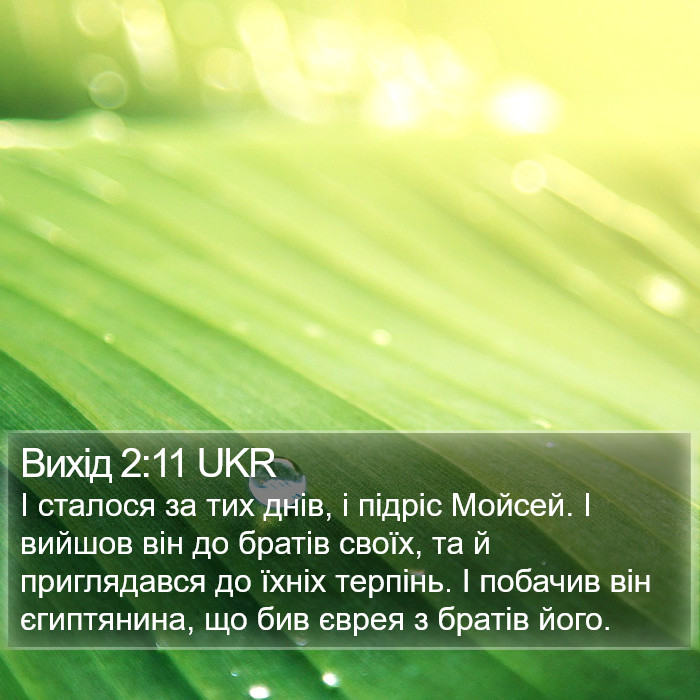 Вихід 2:11 UKR Bible Study