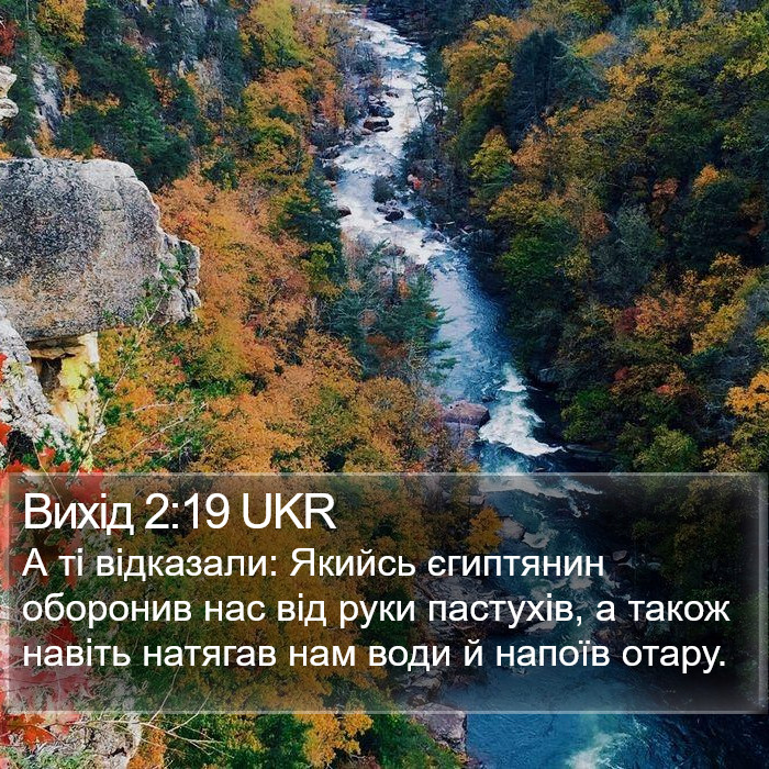 Вихід 2:19 UKR Bible Study