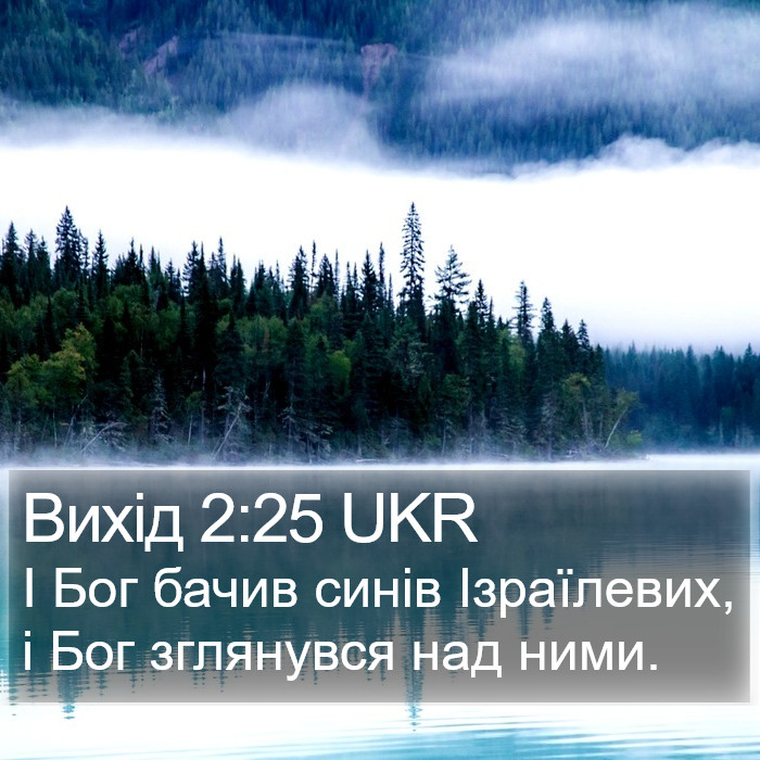 Вихід 2:25 UKR Bible Study