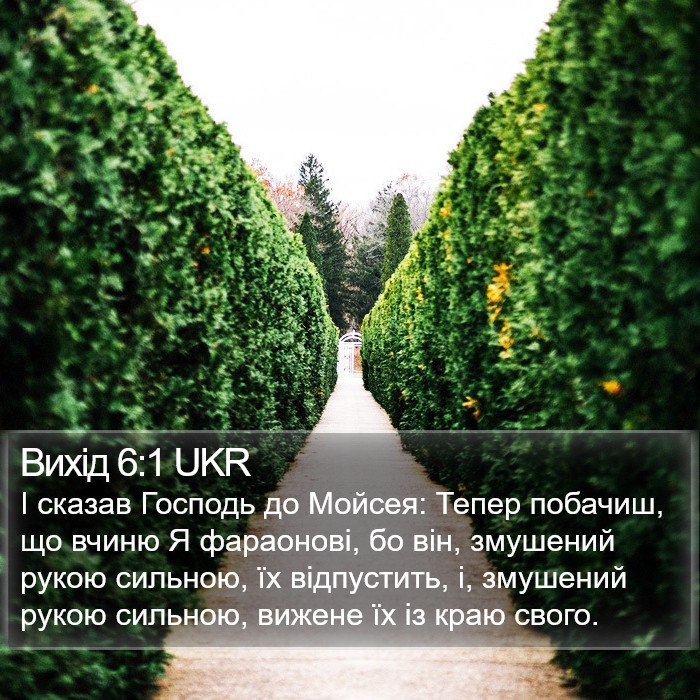 Вихід 6:1 UKR Bible Study