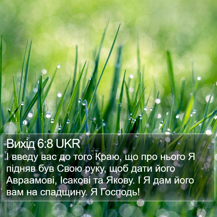 Вихід 6:8 UKR Bible Study