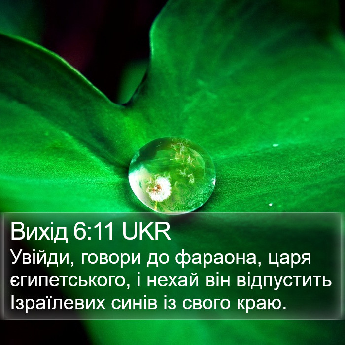 Вихід 6:11 UKR Bible Study