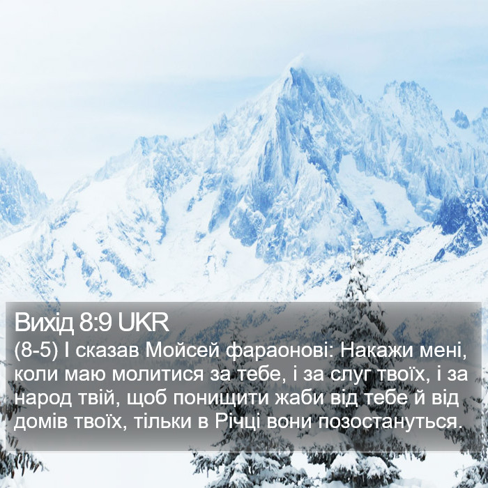 Вихід 8:9 UKR Bible Study