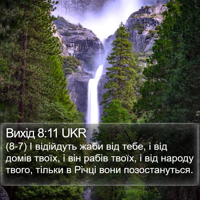 Вихід 8:11 UKR Bible Study