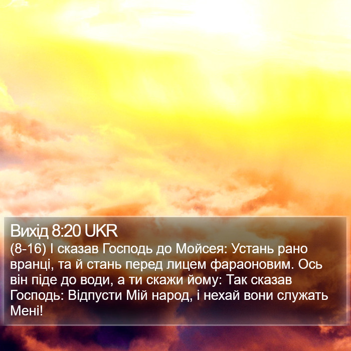 Вихід 8:20 UKR Bible Study