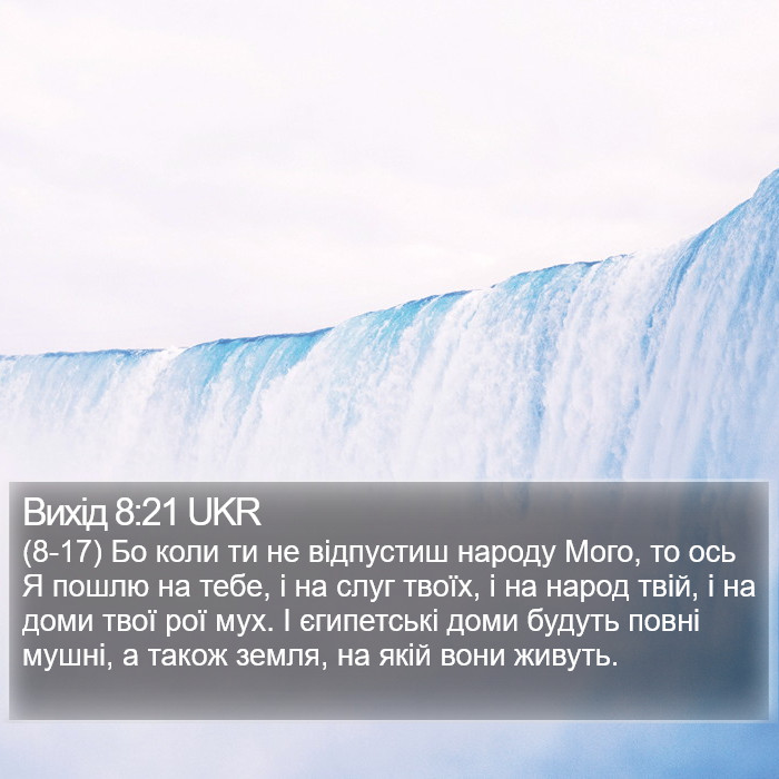 Вихід 8:21 UKR Bible Study