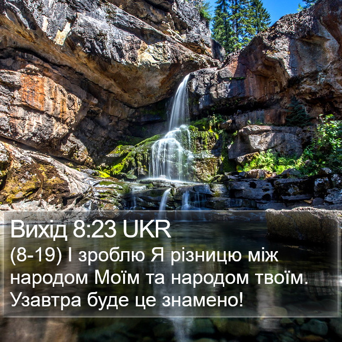 Вихід 8:23 UKR Bible Study