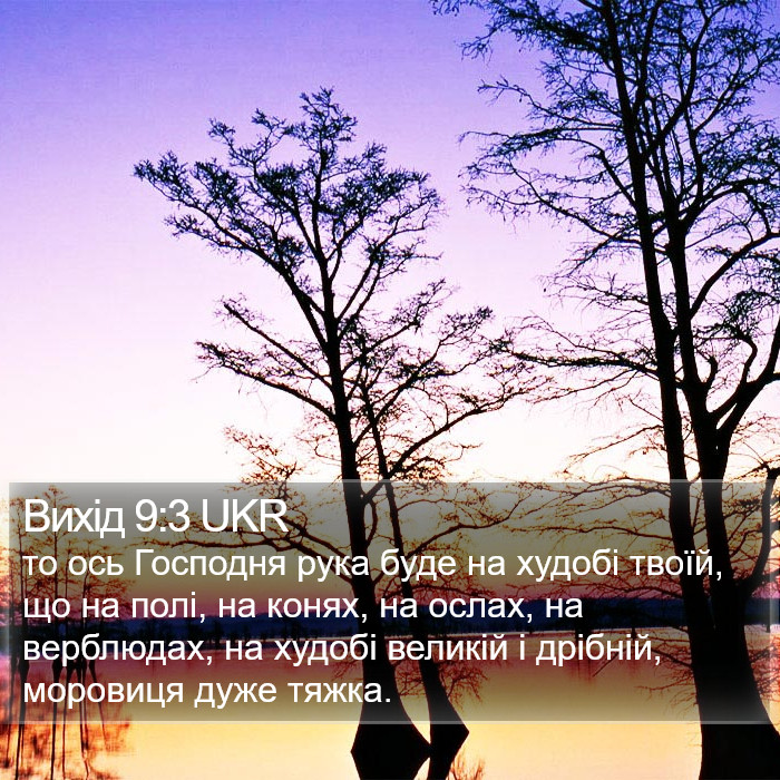 Вихід 9:3 UKR Bible Study