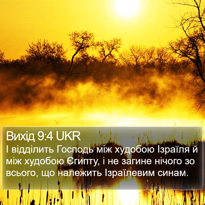 Вихід 9:4 UKR Bible Study