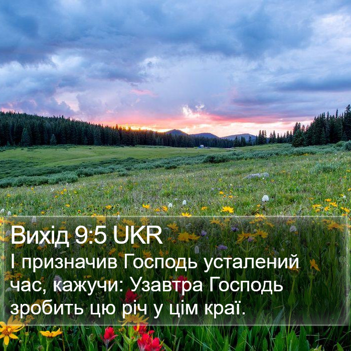 Вихід 9:5 UKR Bible Study
