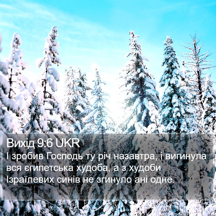 Вихід 9:6 UKR Bible Study
