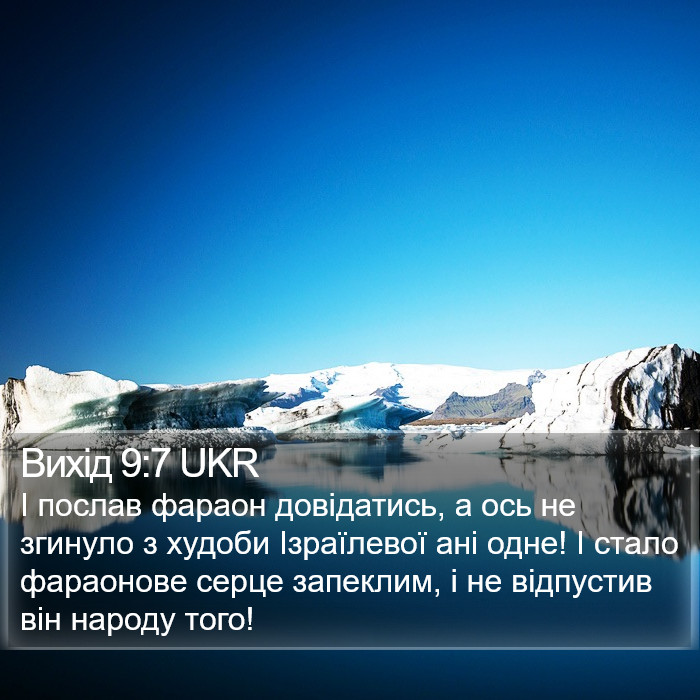 Вихід 9:7 UKR Bible Study