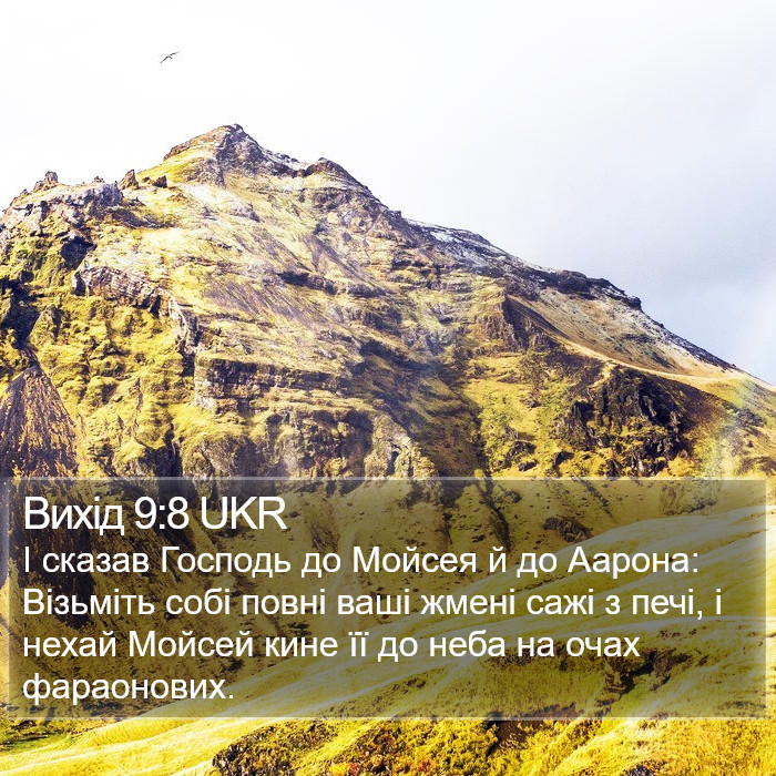Вихід 9:8 UKR Bible Study