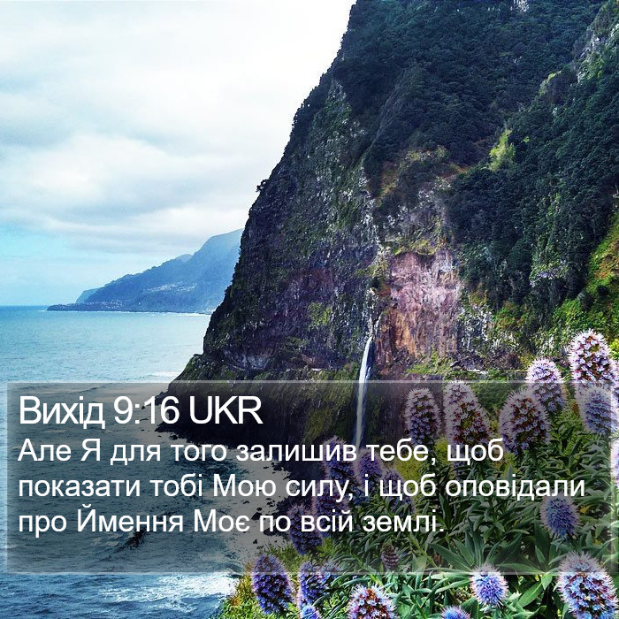 Вихід 9:16 UKR Bible Study