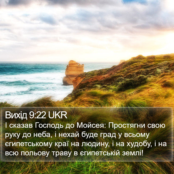 Вихід 9:22 UKR Bible Study