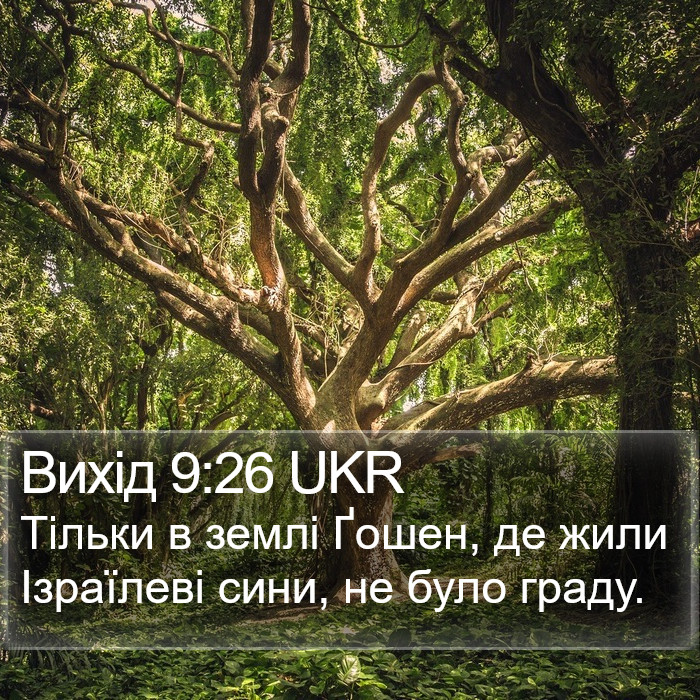 Вихід 9:26 UKR Bible Study