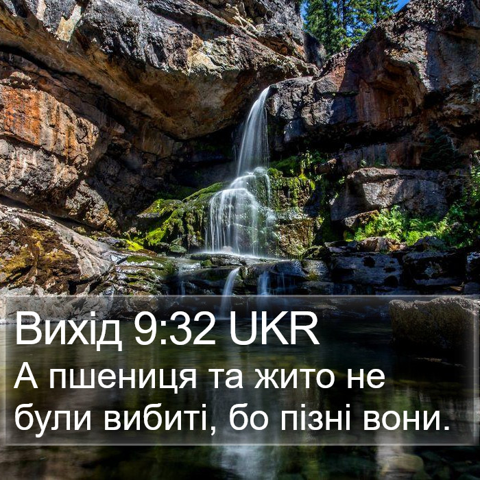 Вихід 9:32 UKR Bible Study