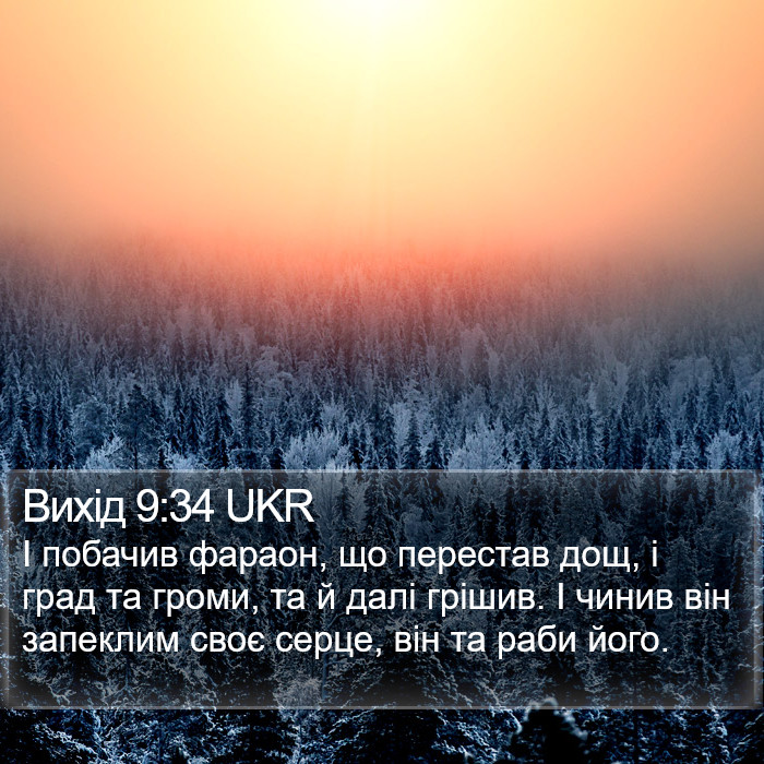 Вихід 9:34 UKR Bible Study